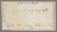 L 02984
<br/>
Label met opschrift
<br/>
<em></em>